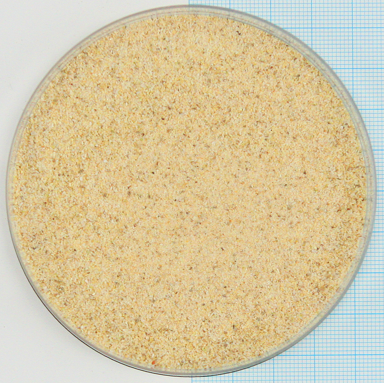 282081 Frische Zwiebelmettwurst California.jpg