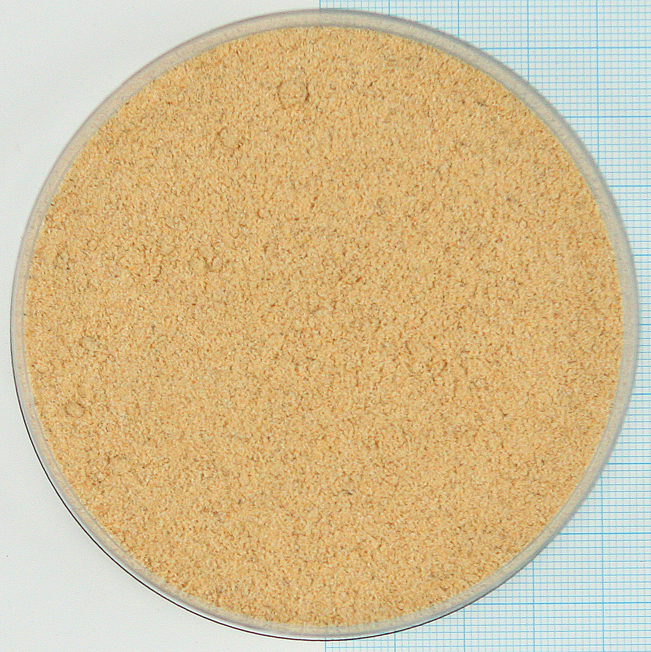 278010 Weißwurst Hela ProFit.jpg