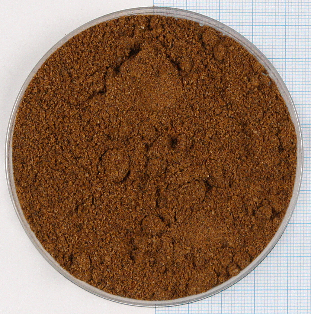 259209 Krakauer Kopolni.jpg