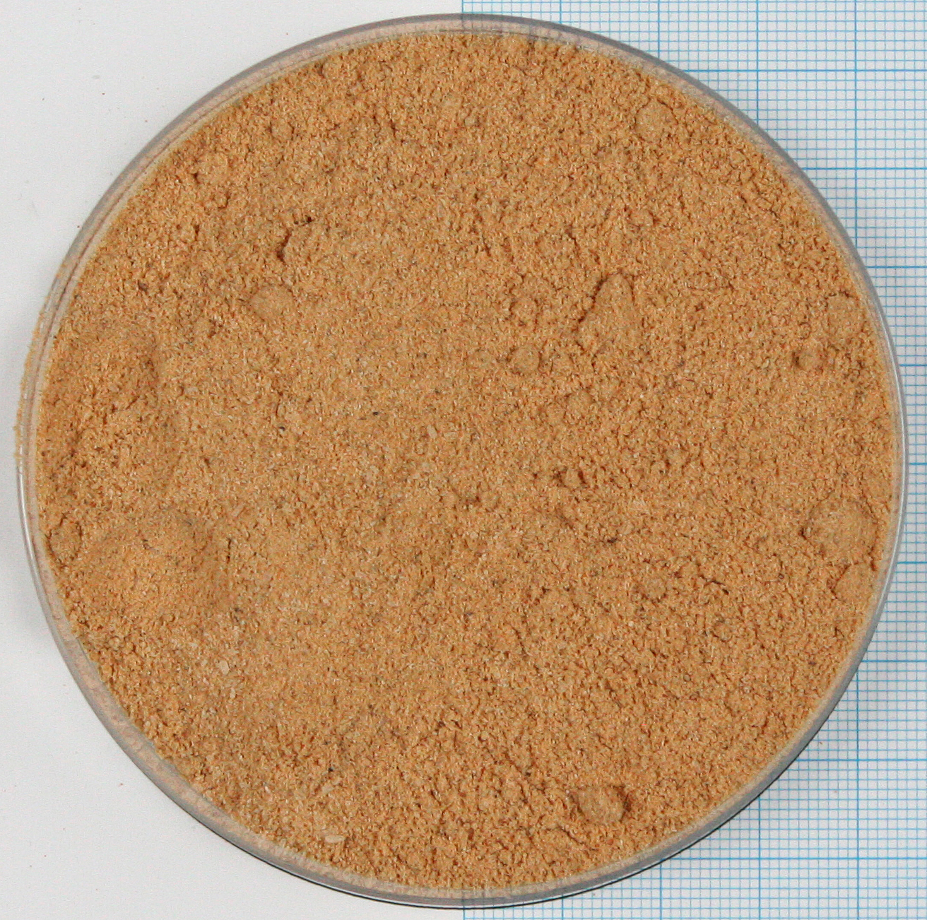 279011 Wiener de Luxe.jpg